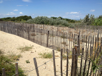 Camargue