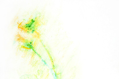 花卉手绘粉笔画。植物时尚背景与抽象的花。