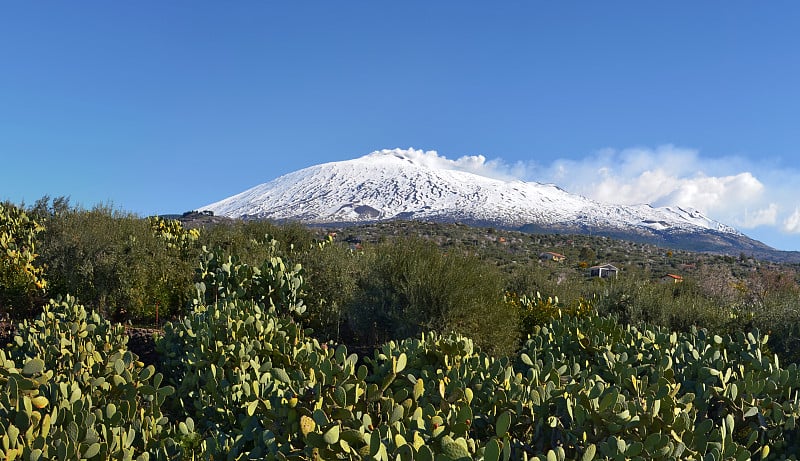 南部被雪覆盖的埃特纳火山