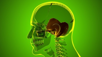 人体骨骼、颅骨、颞骨解剖学的医学概念