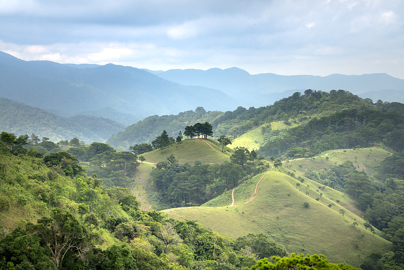 这是越南平顺省松茂自然保护区的大能潘勇徒步路线，途经草山和森林