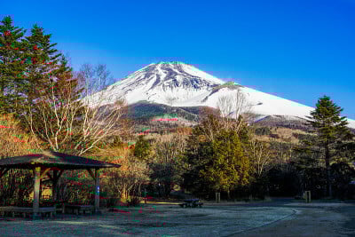 在水津冢公园，我欣赏着富士山在冬季渐近的景色。