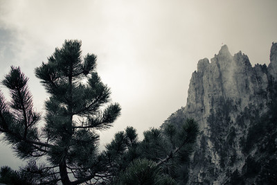 雾中的艾皮里山。高山。克里米亚。俄罗斯的山脉。低的云层。美丽的山的风景。著名的艾佩特里山，部分被云、