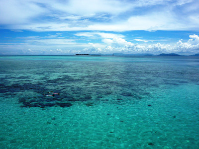 浅的大海