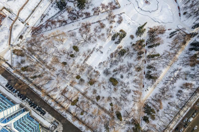 小公园里光秃秃的树被雪覆盖着。叶卡捷琳堡冬季公园鸟瞰图