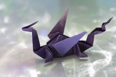 阳光下的瞬间