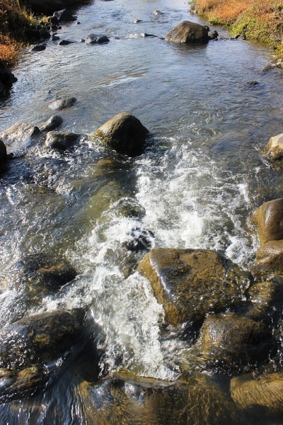 河水泛起涟漪