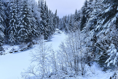 在纽约阿迪朗达克山脉，冰雪覆盖的冬季景象