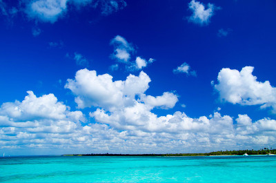 海