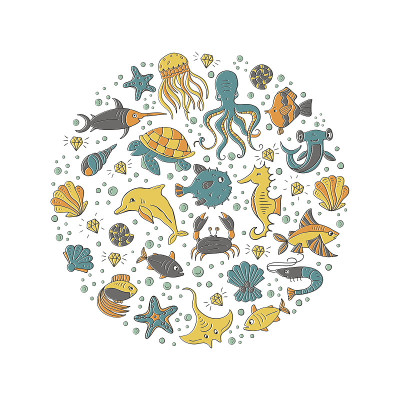 海洋动物圆