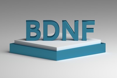 大胆闪亮的字母BDNF在大理石基座上