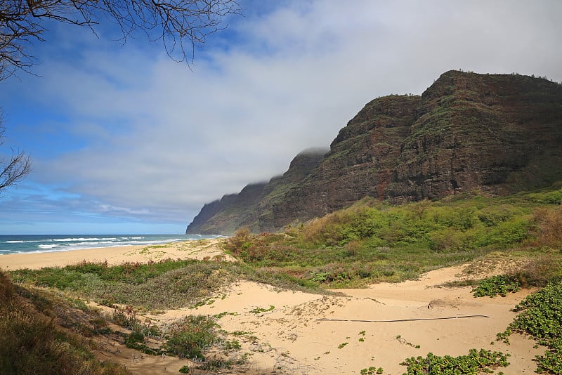 Polihale SP