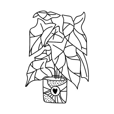 单手拉的室内盆栽植物。矢量插图在涂鸦风格。