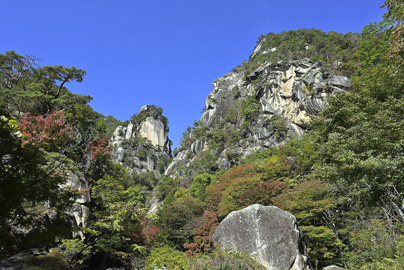 斯奈德 2021-10月 （日本山梨）