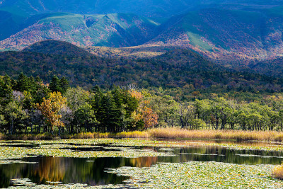 知子五湖(知子五湖)，秋叶，知子，北海道，日本