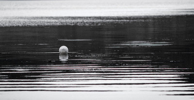 浮动