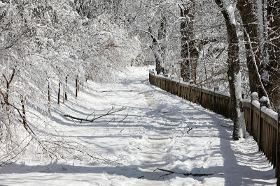 冬天下雪的森林路。(韩国江原道御田山国家公园)