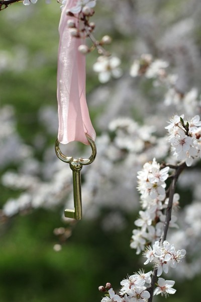 金钥匙，粉红丝带，花枝