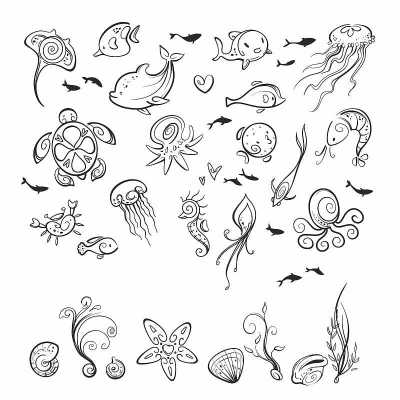 海洋和海洋生物
