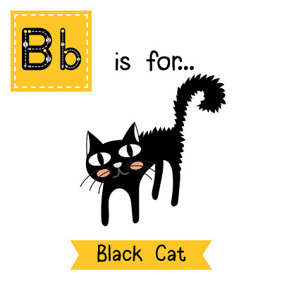 字母B跟踪。黑色的猫