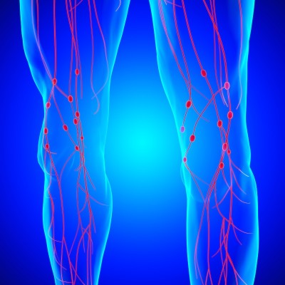 人体淋巴结解剖用于医学概念3D渲染