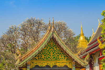 美丽的金色佛教教堂在兰那风格的圣典大厅里供奉在清迈Wat Chiang Man或Wat Chiang