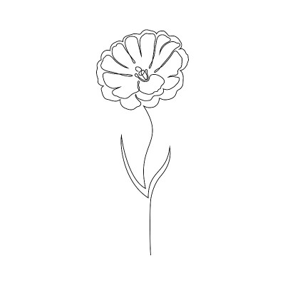 洋桔黄色花上白色