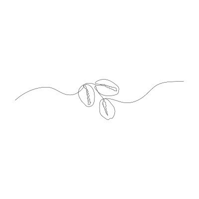 连续的海贝线画。现代简约的艺术。矢量插图。