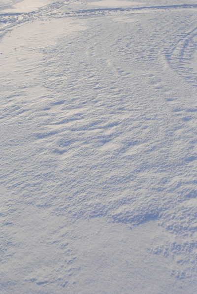 雪地壳