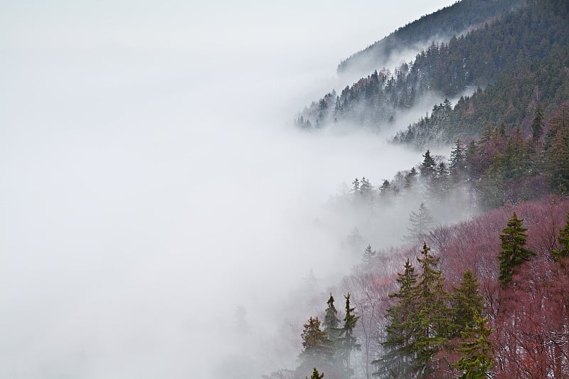 雾中的哈尔茨山