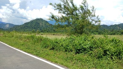 自然景观