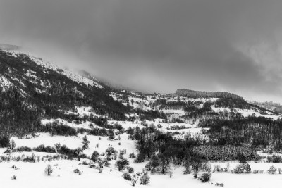 黑色和白色的景色，山覆盖着雪，雾和黑色的树木