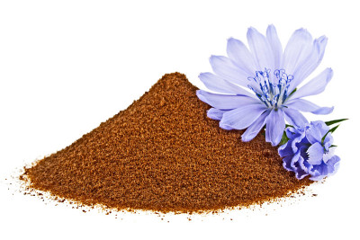 蓝色菊苣花和即食菊苣粉，分离在白色背景上。Cichorium intybus。