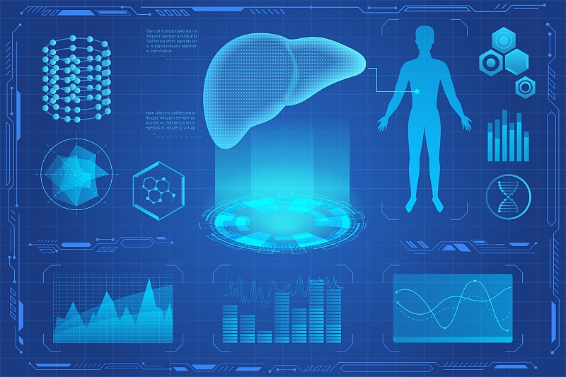 人类肝脏未来医学全息图矢量插图。肝脏三维模型筛选虚拟现实界面。图表、饼图、信息图。Vr和ar医疗保健