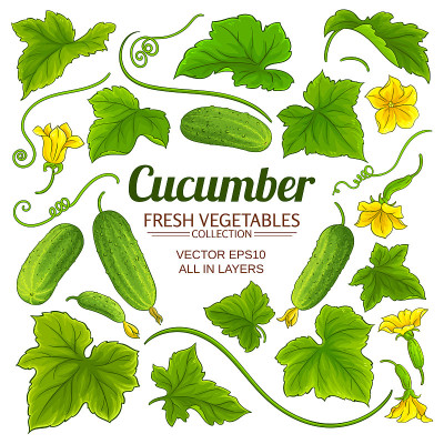 cucumber elements set