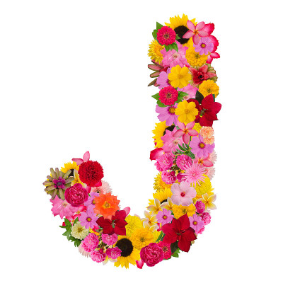字母J以花ABC概念型为标志