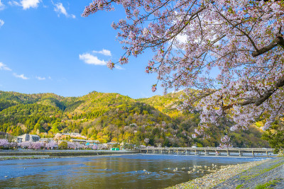 日本京都岚山聚月桥