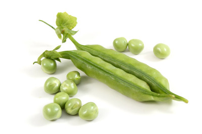 两个豌豆荚和豌豆