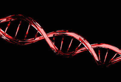 红色DNA分子结构分离在黑色上