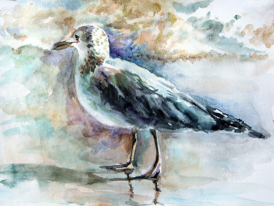 海滩上的海鸥。水彩画