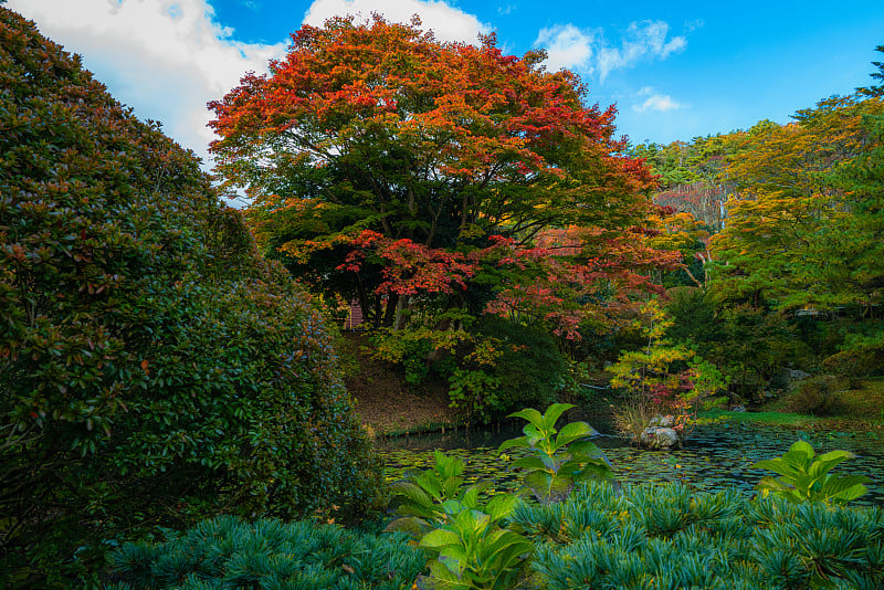 福岛的秋色风景