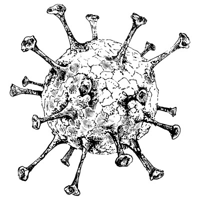 向量冠状病毒分子