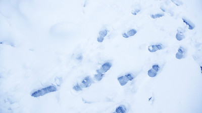 冬天雪地里肮脏的脚印。靴子在路上的踪迹