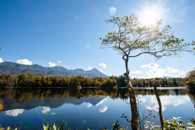 知子五湖(知子五湖)[第三湖]和知子山的秋叶，知子，北海道，日本