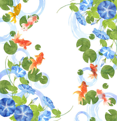日本七彩鲤鱼牵牛花