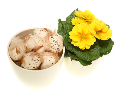 复活节彩蛋