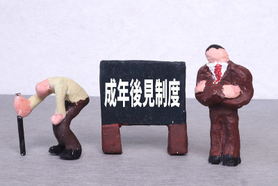 成年人监护制度