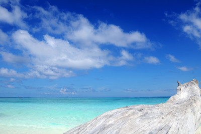 热带海滩，海水清澈