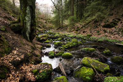 风景如画的小溪在Silberbachtal山谷，Eggegebirge, Teutoburg森林。