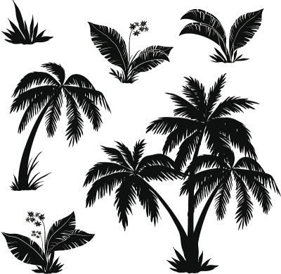 棕榈树，花草，剪影